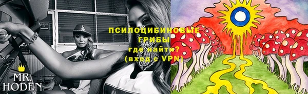 мяу мяу мука Заводоуковск